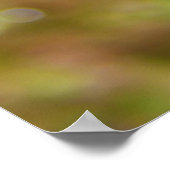 Mandarijn Fish Synchiropus Splendidus Poster (Hoek)