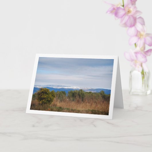 Mandarijn Sinaasappel en Sneeuwgebergte Kaart (Orchidee)