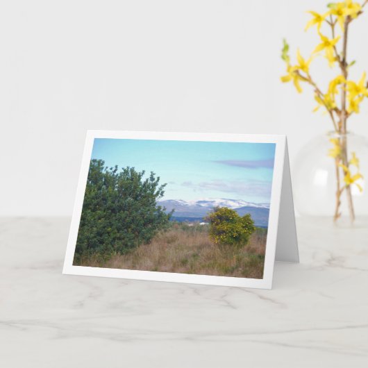 Mandarijn Sinaasappel en Sneeuwgebergte Kaart (Gele Bloem)