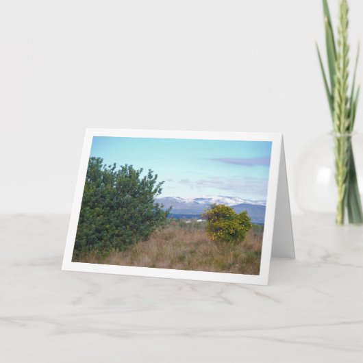 Mandarijn Sinaasappel en Sneeuwgebergte Kaart (Voorkant)