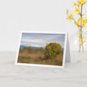 Mandarijn Sinaasappel en Sneeuwgebergte Kaart (Gele Bloem)