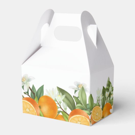 Mandarijn Sinaasappel Waterverf Bruiloft Vrijgezel Bedankdoosjes (Achterkant)