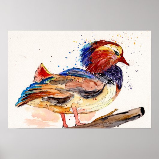 Mandarijneend Aquarel Poster (Voorkant)
