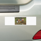 mandarijneend bumpersticker (Op auto)