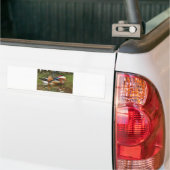 mandarijneend bumpersticker (Op Truck)