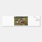mandarijneend bumpersticker (Voorkant)