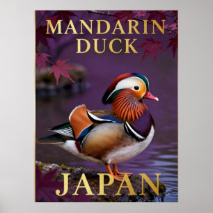 🦆 Mandarijneend Japan Exotische Vogel Poster