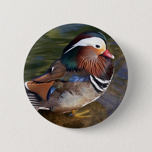 mandarijneneendenknop ronde button 5,7 cm (Voorkant)