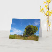 Mandarijns Oranje boomdiagram Kaart (Gele Bloem)