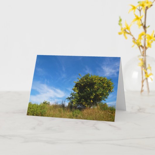 Mandarijns Oranje boomdiagram Kaart (Gele Bloem)