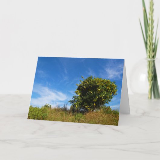 Mandarijns Oranje boomdiagram Kaart (Voorkant)