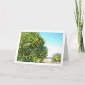 Mandarijns Oranje boomdiagram Kaart (Voorkant)