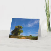 Mandarijns Oranje boomdiagram Kaart (Voorkant)