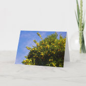 Mandarijns Oranje boomdiagram Kaart (Voorkant)