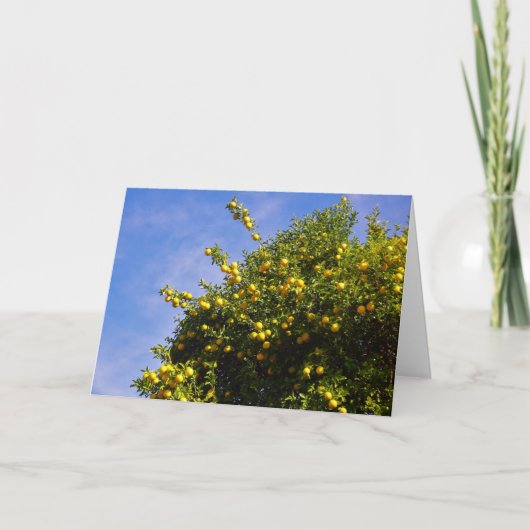 Mandarijns Oranje boomdiagram Kaart (Voorkant)