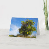 Mandarijns Oranje boomdiagram Kaart (Voorkant)