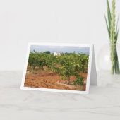 Mandarijns Orchard, Llira, Spaanse stad, Valencia Kaart (Voorkant)