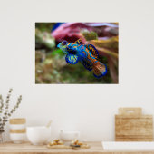 Mandarijns Poster (Keuken)