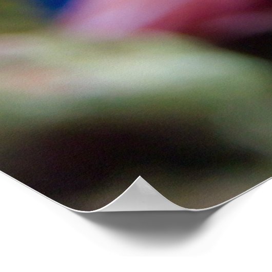 Mandarijns Poster (Hoek)