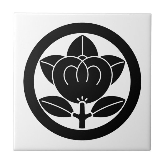 Mandarijns sinaasappel in cirkel tegeltje (Voorkant)