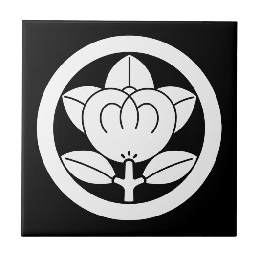 Mandarijns sinaasappel in een cirkelvormige kerami tegeltje (Voorkant)