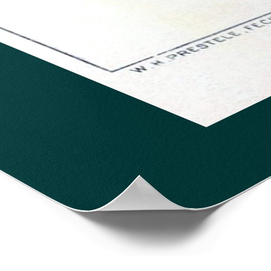 Mandarijns Sinaasappel Poster (Hoek)