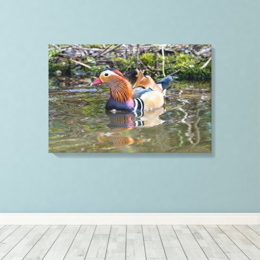Mandarijnse eend canvas afdruk (Insitu (Houten vloer))