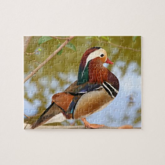 Mandarijnse eend legpuzzel (Horizontaal)
