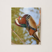 Mandarijnse eend legpuzzel (Verticaal)
