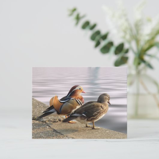 Mandarijnse eenden tegen gerofheid briefkaart (Staand voorkant)