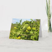 Mandarijnse Oranje boom Kaart (Voorkant)