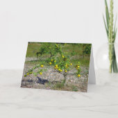 Mandarijnse Oranje boom Kaart (Voorkant)