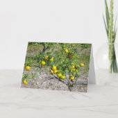 Mandarijnse Oranje boom Kaart (Voorkant)