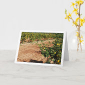 Mandarijnse Oranje boomgaard Kaart (Gele Bloem)