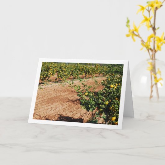 Mandarijnse Oranje boomgaard Kaart (Gele Bloem)