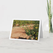 Mandarijnse Oranje boomgaard Kaart (Voorkant)