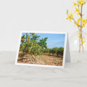 Mandarijnse Oranje boomgaard Kaart (Gele Bloem)