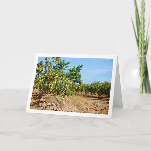 Mandarijnse Oranje boomgaard Kaart (Voorkant)