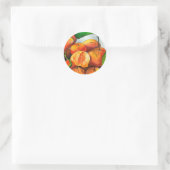 Mandarijnse oranje waterverf fruitkunst ronde sticker (Tas)