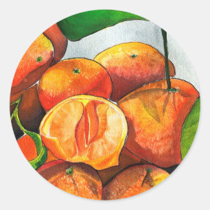 Mandarijnse oranje waterverf fruitkunst ronde sticker