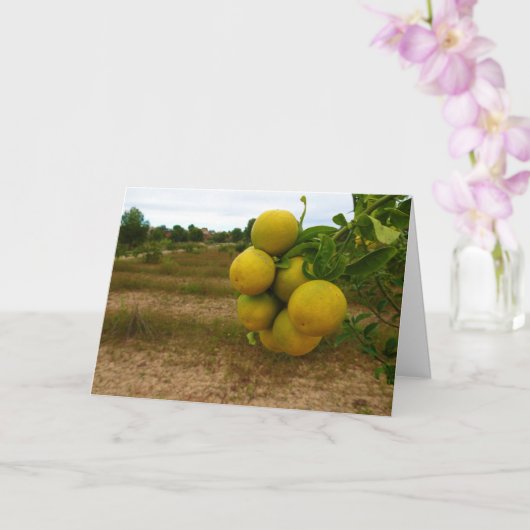 Mandarijnse Sinaasappels Kaart (Orchidee)