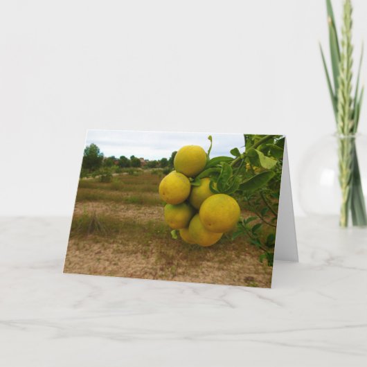 Mandarijnse Sinaasappels Kaart (Voorkant)