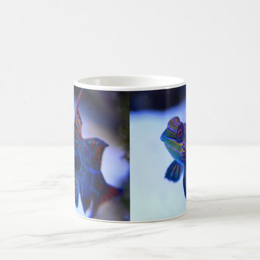 Mandarijnvis Koffiemok (Center)