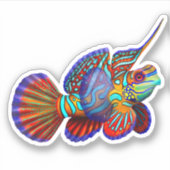Mandarijnvis Ocean Fish Vinyl Sticker (Voorkant)