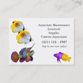 Mandarin Dragonet Goby Fish Visitekaartje (Achterkant)