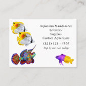 Mandarin Dragonet Goby Fish Visitekaartje (Achterkant)