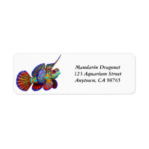 Mandarin Dragonet Goby vislabel Etiket