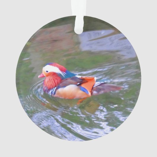 Mandarin Duck #2 Ornament (achterkant)