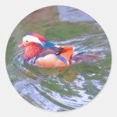 Mandarin Duck #2 Sticker (Voorkant)