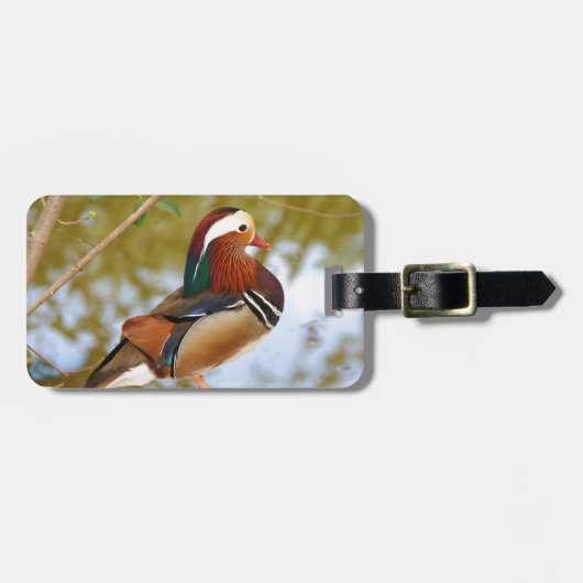 Mandarin Duck Bagagelabel (Voorkant horizontaal)